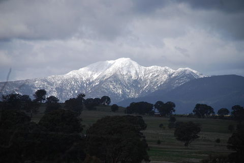 Bluegum Ridge Cottages - Inverell Accommodation 35