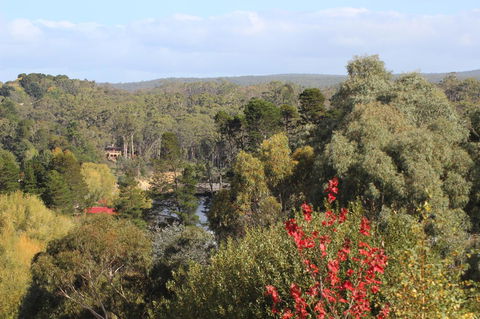 The Orchard - Inverell Accommodation 28
