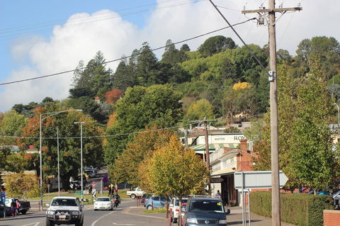 The Orchard - Inverell Accommodation 35