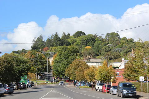 The Orchard - Inverell Accommodation 29