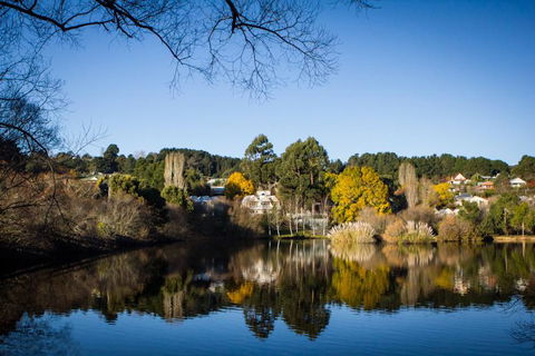 Chestnut Daylesford - Inverell Accommodation 14