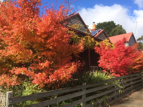 Chestnut Daylesford - Inverell Accommodation 13