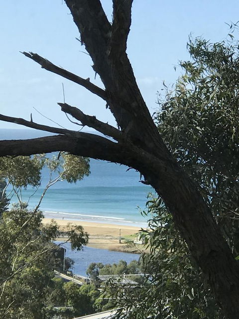 Lorne Sea View Terrace House - Inverell Accommodation 12