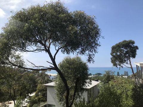 Lorne Sea View Terrace House - Inverell Accommodation 26