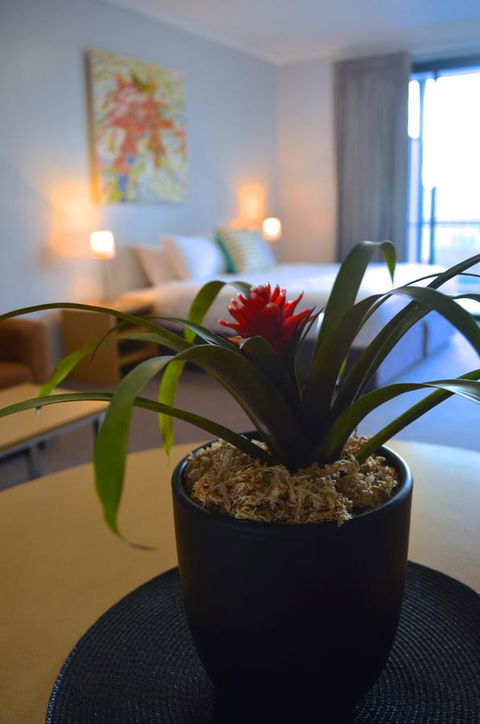 Mansfield Apartments - Inverell Accommodation 21