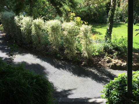 Moonah Woodlands Resort - Inverell Accommodation 39