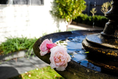 Bed Of Roses - Inverell Accommodation 35