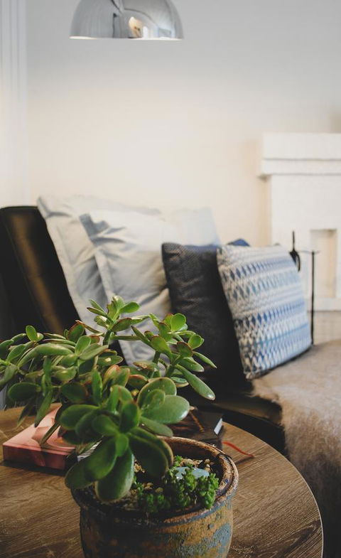 Bed Of Roses - Inverell Accommodation 3