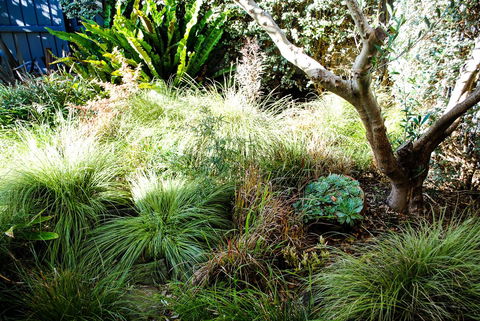 Bed Of Roses - Inverell Accommodation 21