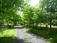 Book Wonga Park Accommodation Vacations Inverell Accommodation Inverell Accommodation