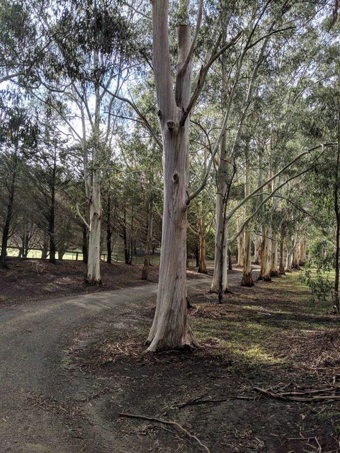 Kangaroo Manor - Inverell Accommodation 10