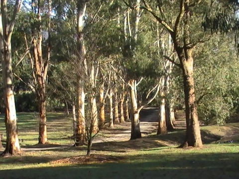 Kangaroo Manor - Inverell Accommodation 21