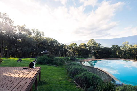 Kangaroo Manor - Inverell Accommodation 23