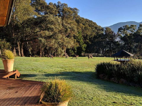 Kangaroo Manor - Inverell Accommodation 5