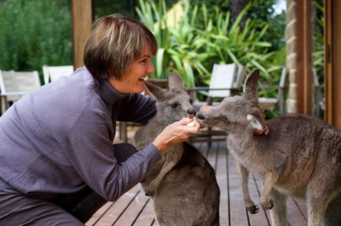 Kangaroo Manor - Inverell Accommodation 20