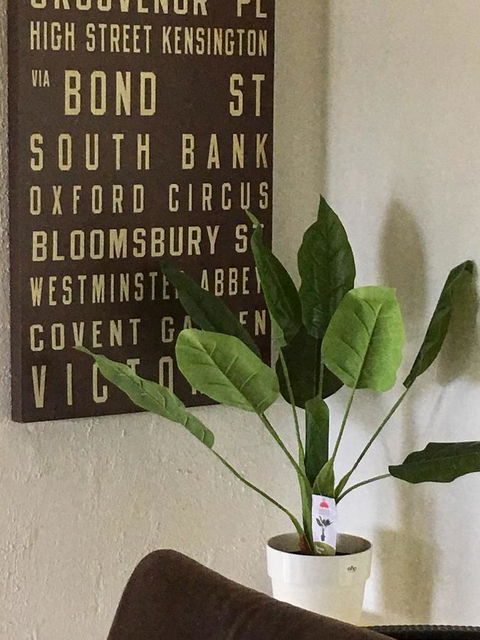Nest On A Crest - Inverell Accommodation 7