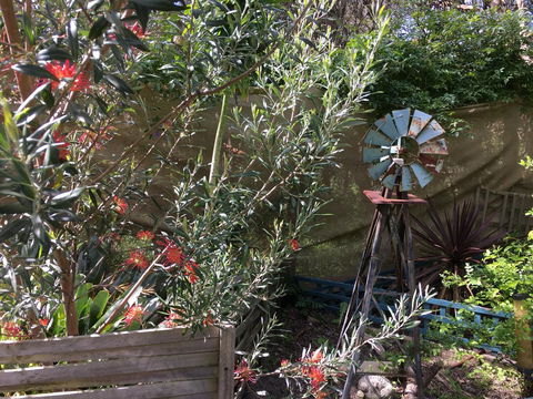 Nest On A Crest - Inverell Accommodation 29