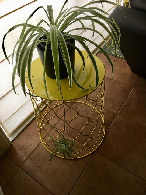 Nest On A Crest - Inverell Accommodation 5