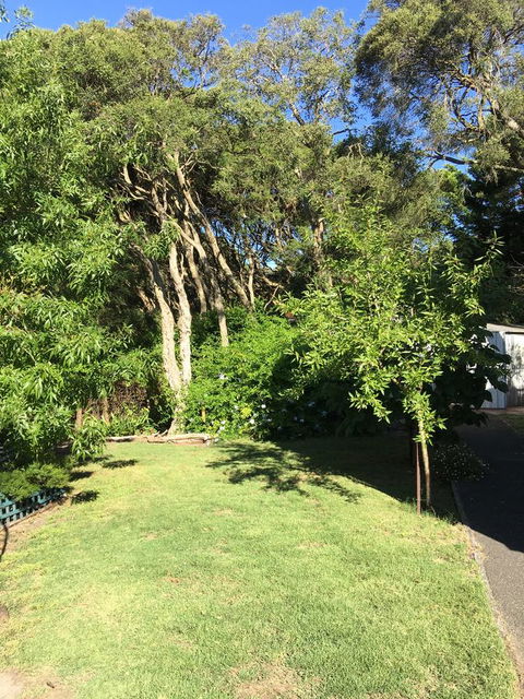 Nest On A Crest - Inverell Accommodation 35