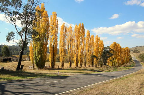 3 Bells Alpine Cottage - Inverell Accommodation 20