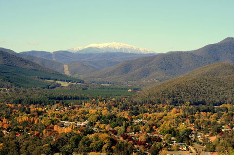 3 Bells Alpine Cottage - Inverell Accommodation 24
