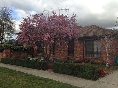 Bricks And Roses - Inverell Accommodation 1