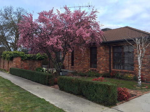 Bricks And Roses - Inverell Accommodation 2