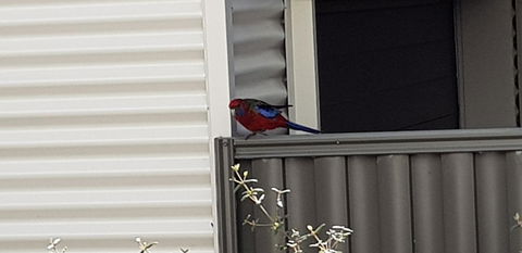 Torquay Timeout - Inverell Accommodation 15