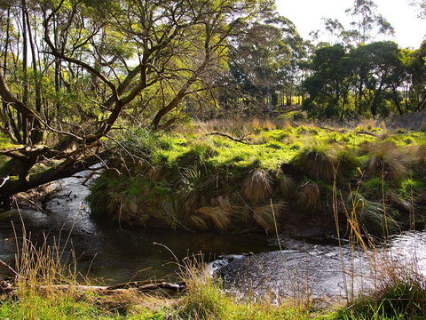 Green Gully House - Inverell Accommodation 5