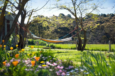 Cabrito - Inverell Accommodation 3