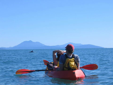 Thala Beach Nature Reserve - Inverell Accommodation 44
