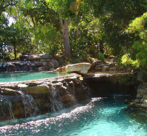 Thala Beach Nature Reserve - Inverell Accommodation 29