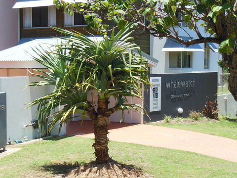 Whale Watch Ocean Beach Resort - Inverell Accommodation 15