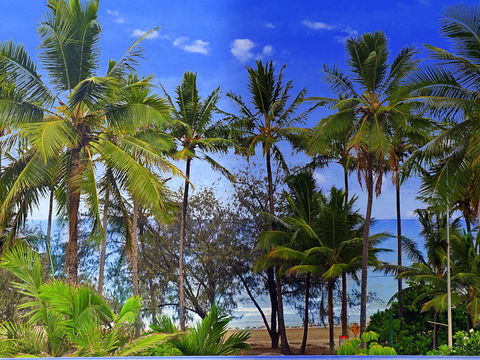 By The Sea Port Douglas - Inverell Accommodation 3