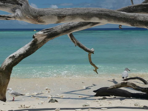 Beach Club Port Douglas Luxury Apartments - Inverell Accommodation 23