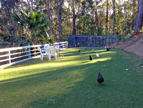 Noosa Hinterland Retreat - Inverell Accommodation 11