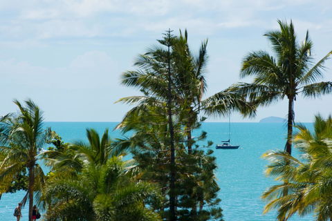 Heart Hotel And Gallery Whitsundays - Inverell Accommodation 13