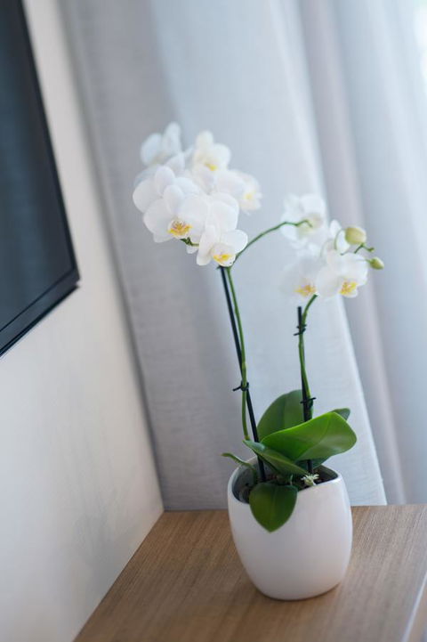 Heart Hotel And Gallery Whitsundays - Inverell Accommodation 28