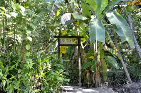 PK\'s Jungle Village - Inverell Accommodation 23