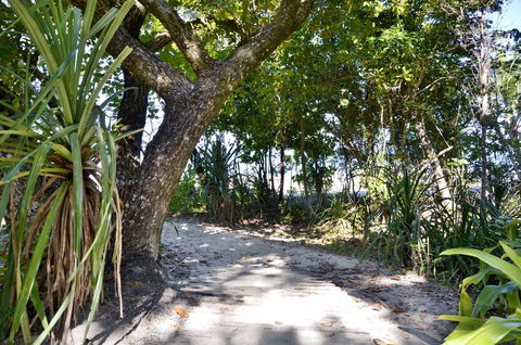 PK\'s Jungle Village - Inverell Accommodation 28