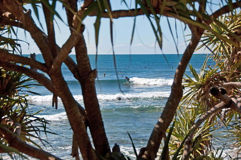The Norfolks On Moffat Beach - Inverell Accommodation 7