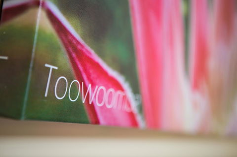 Downs Motel - Inverell Accommodation 25