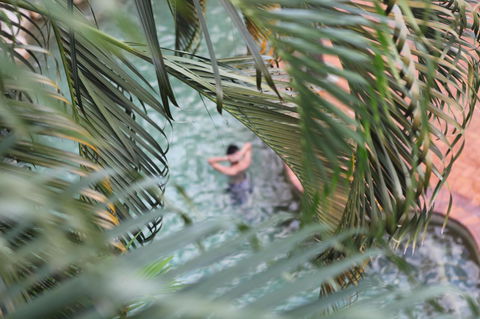 Coral Tree Inn - Inverell Accommodation 36