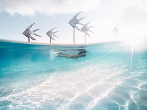 Coral Tree Inn - Inverell Accommodation 39