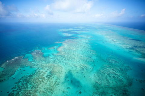 Coral Tree Inn - Inverell Accommodation 37