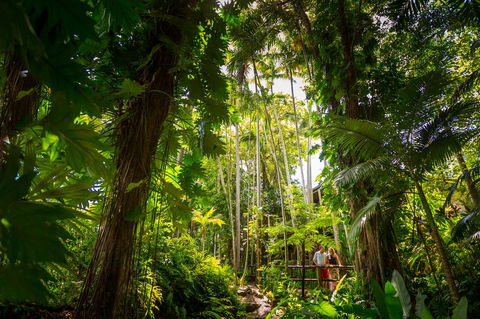 Cairns Colonial Club Resort - Inverell Accommodation 22