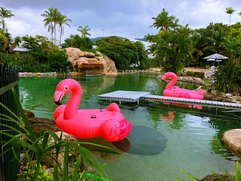 Cairns Colonial Club Resort - Inverell Accommodation 6