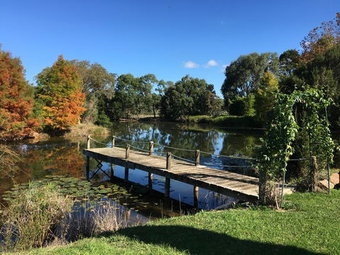 Wonderland Hobby Farm - Inverell Accommodation 3