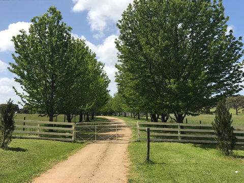 Wonderland Hobby Farm - Inverell Accommodation 1