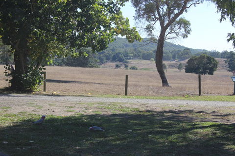 Wonky Stables Holiday Park - Inverell Accommodation 2